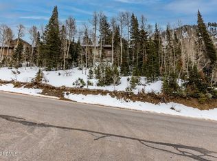 9740 E Bypass Rd #26, Alta, UT 84092