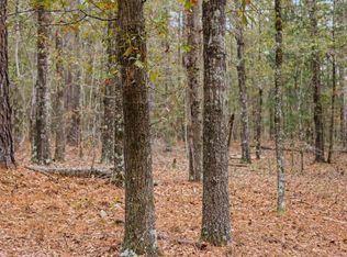 931 Hunter Rd, Ellaville, GA 31806