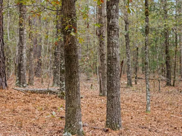 931 Hunter Rd, Ellaville, GA 31806