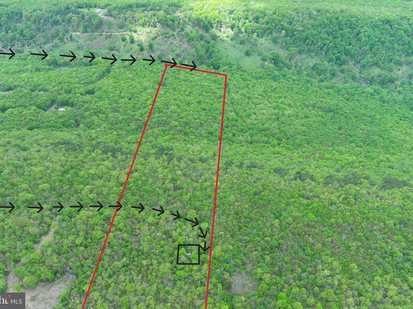 LOT 6 Panther Rd, Maysville, WV 26833