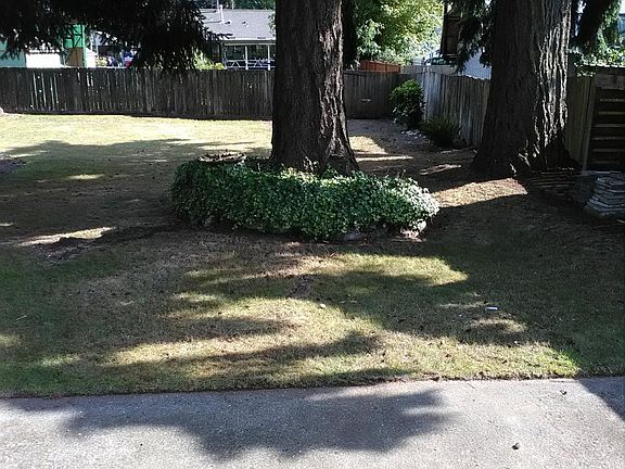 Nice patio with mature evergreen trees. Absolutely wonderful on a spring/summer day!
