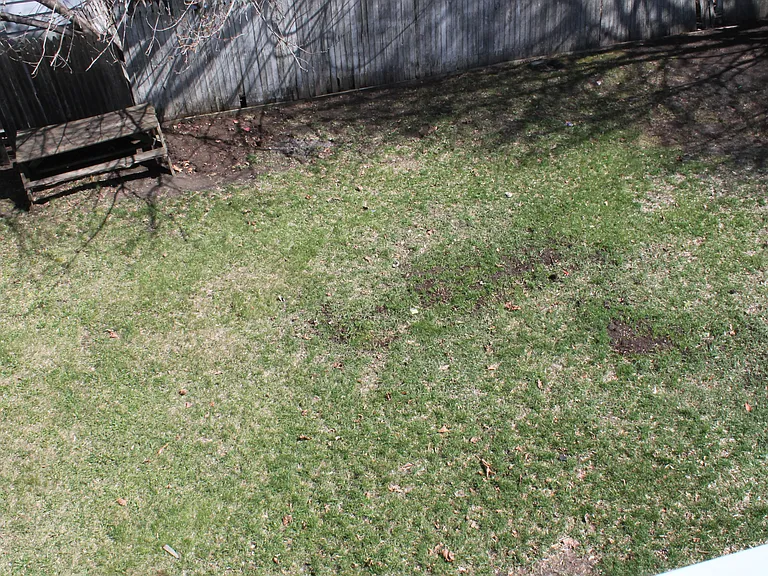20 Bellevue St #1 — Photo 12