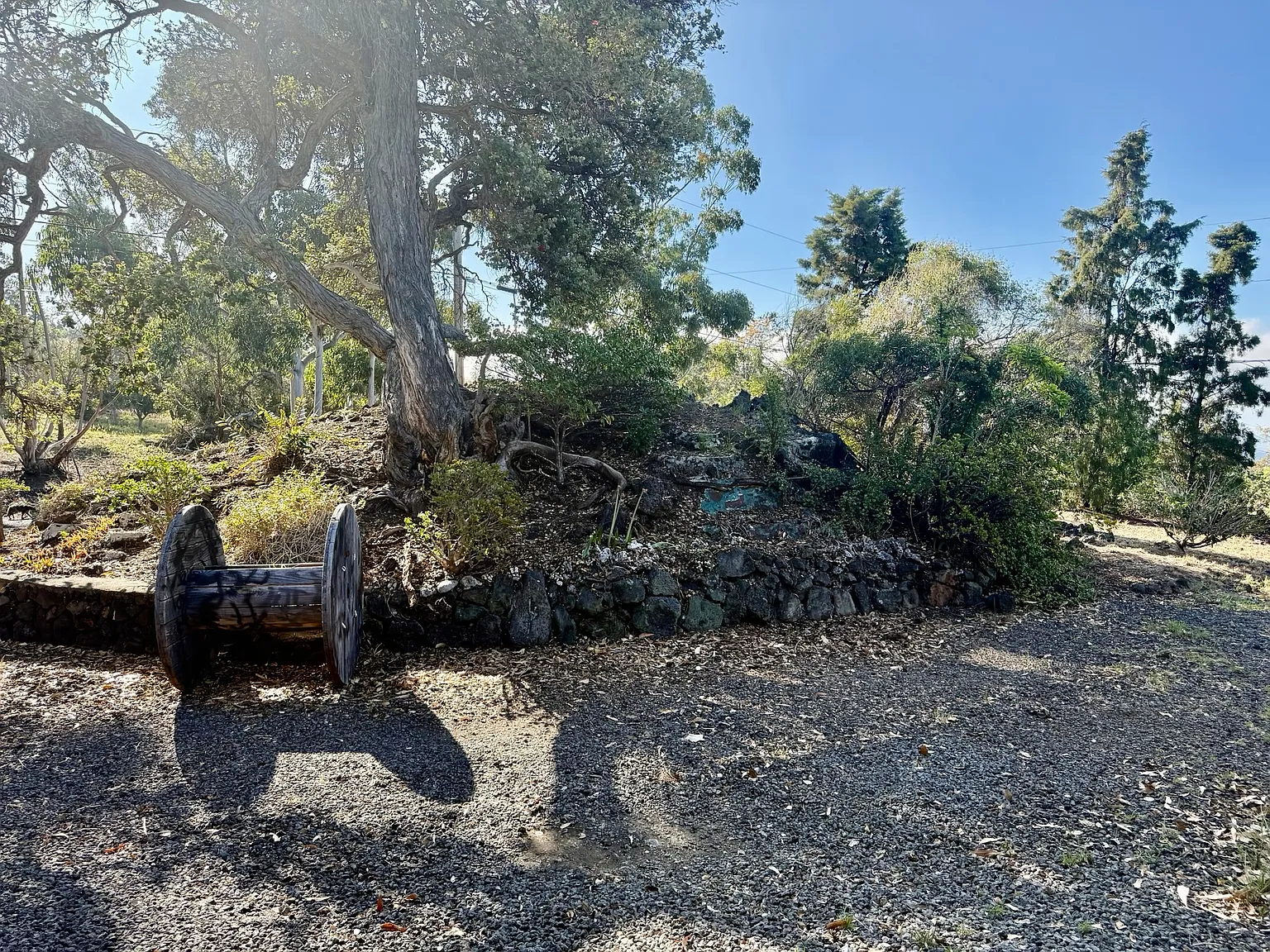 Catamaran Ln, Ocean View — Photo 3