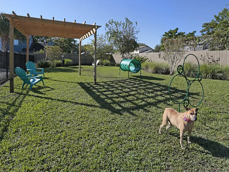 Bark Park