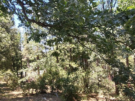 4th image of Cedar Crst