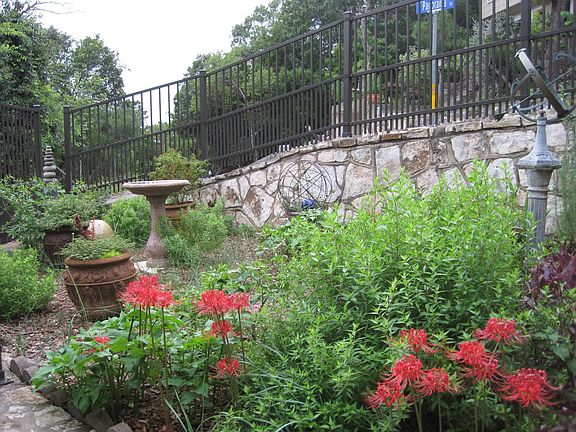Looking across front flower bed to driveway.