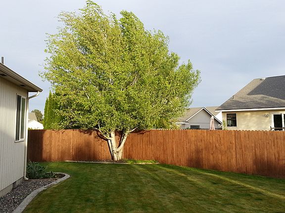 4th image of 2806 S Zillah Ct