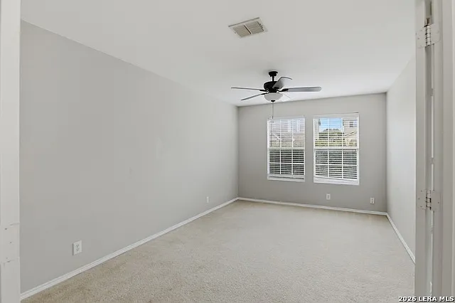 25537 Gold Yarrow — Photo 8