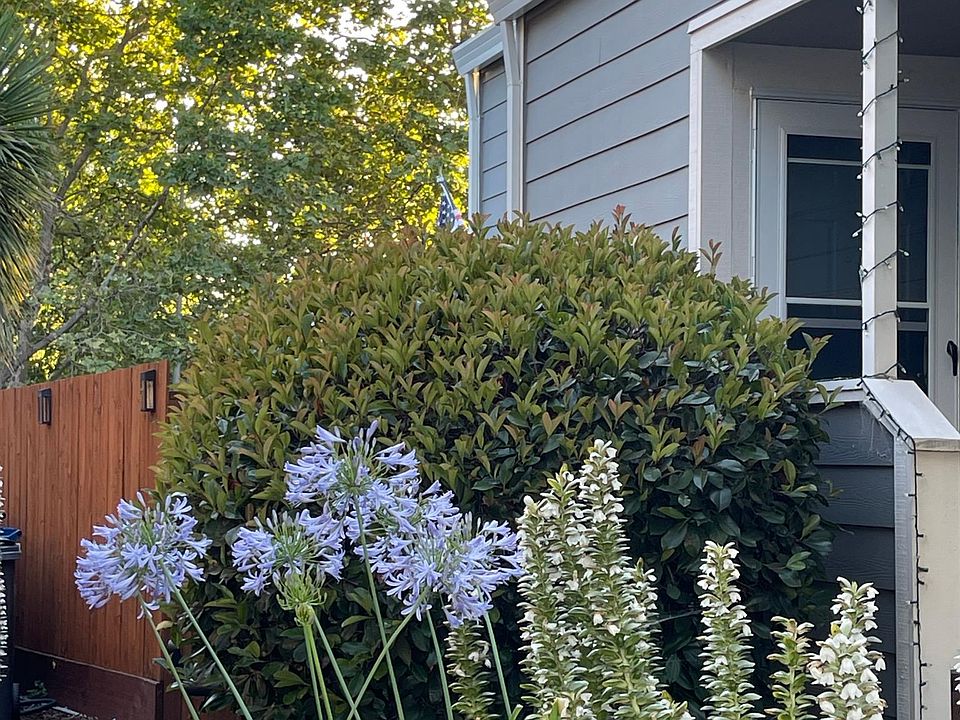 1st image of 825 Vineyard Pl