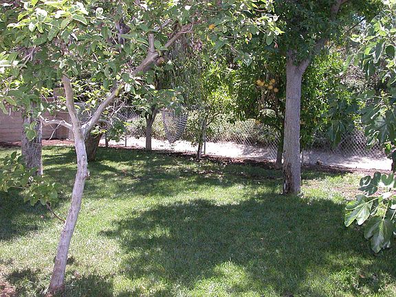 Large private park like yard