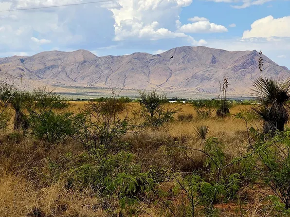 LOT 20 N Willcox Rd, Pearce, AZ 85625