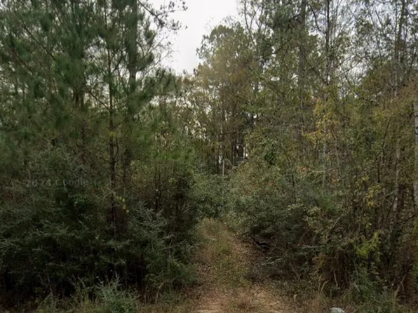 84 Shadeville Rd, Wiggins, MS 39577