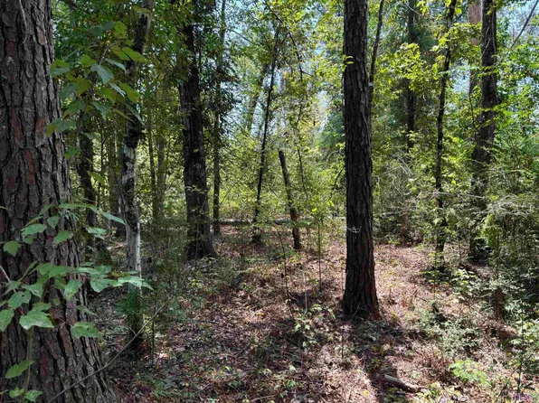 23360 State Highway 441, Holden, LA 70443