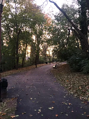 Rented by Corcoran | media 12