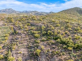 74 N Elephant Butte Rd #5, Gold Canyon, AZ 85118