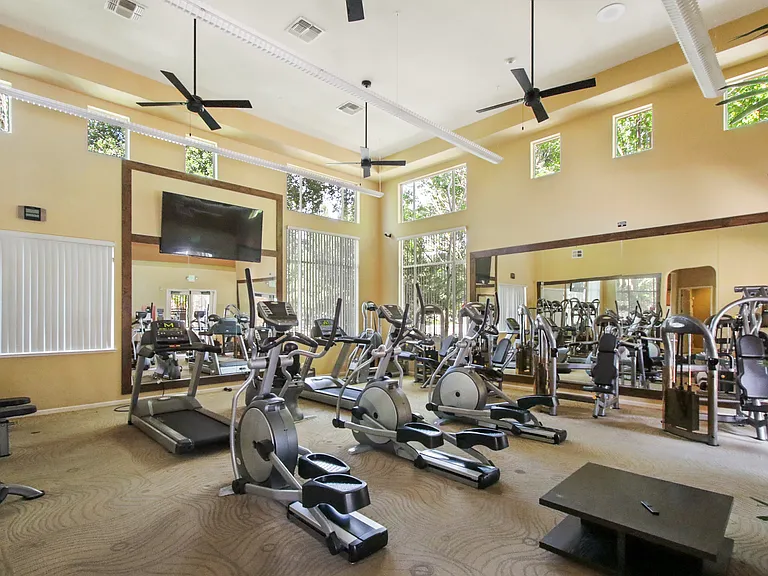 Clubhouse Gym