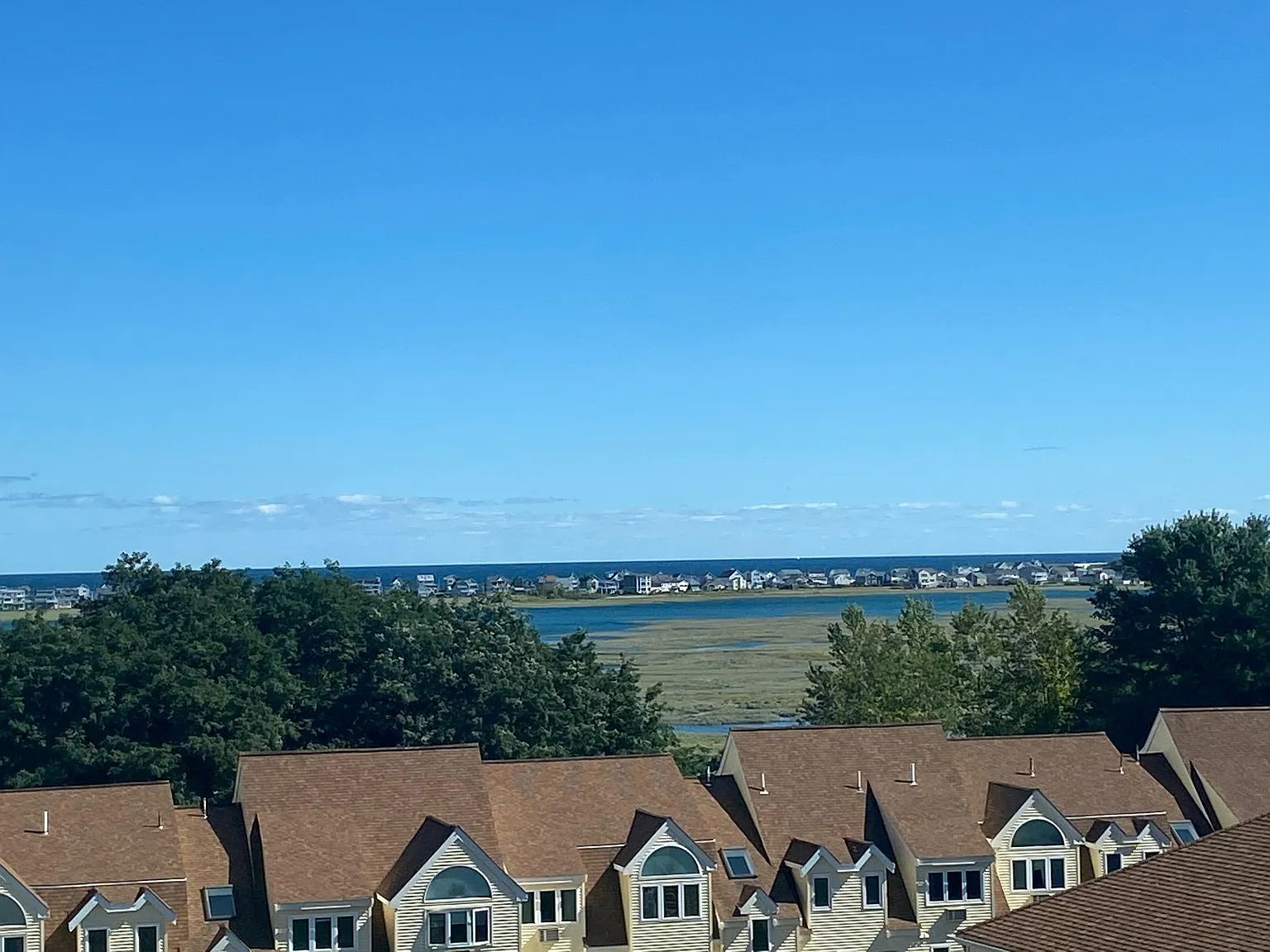 2 bed, 1260 sqft, $1,900 — Photo 4