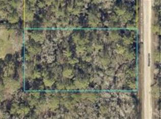 10655 Gregory Ave, Hastings, FL 32145
