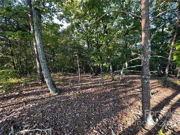 3rd image of 182 Windforest Dr