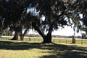 1st image of 14707 S County Road 325