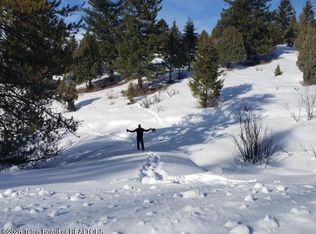 59-B4 Cutthroat Run, Irwin, ID 83428