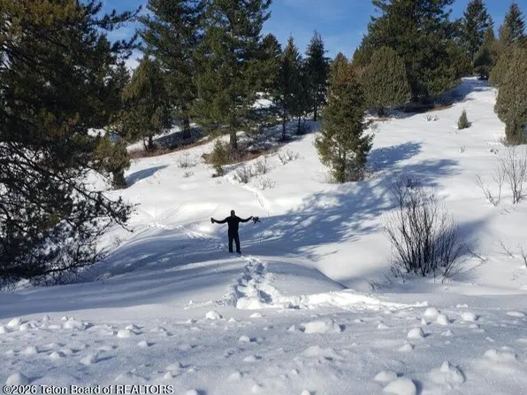 59-B4 Cutthroat Run, Irwin, ID 83428