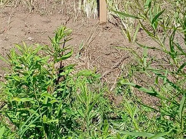 LOT Burfield Rd #D, Osceola, PA 16942