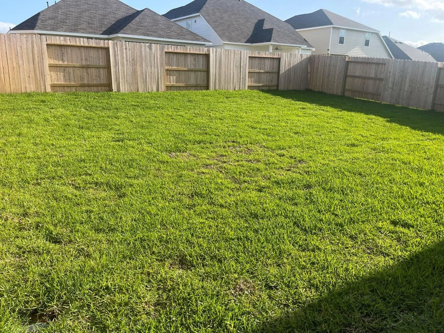 4 bed, 2.5 bath, 2289 sqft, $2,450 — Photo 3