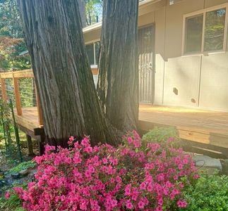 12894 Banner Lava Cap Rd, Nevada City, CA, 95959