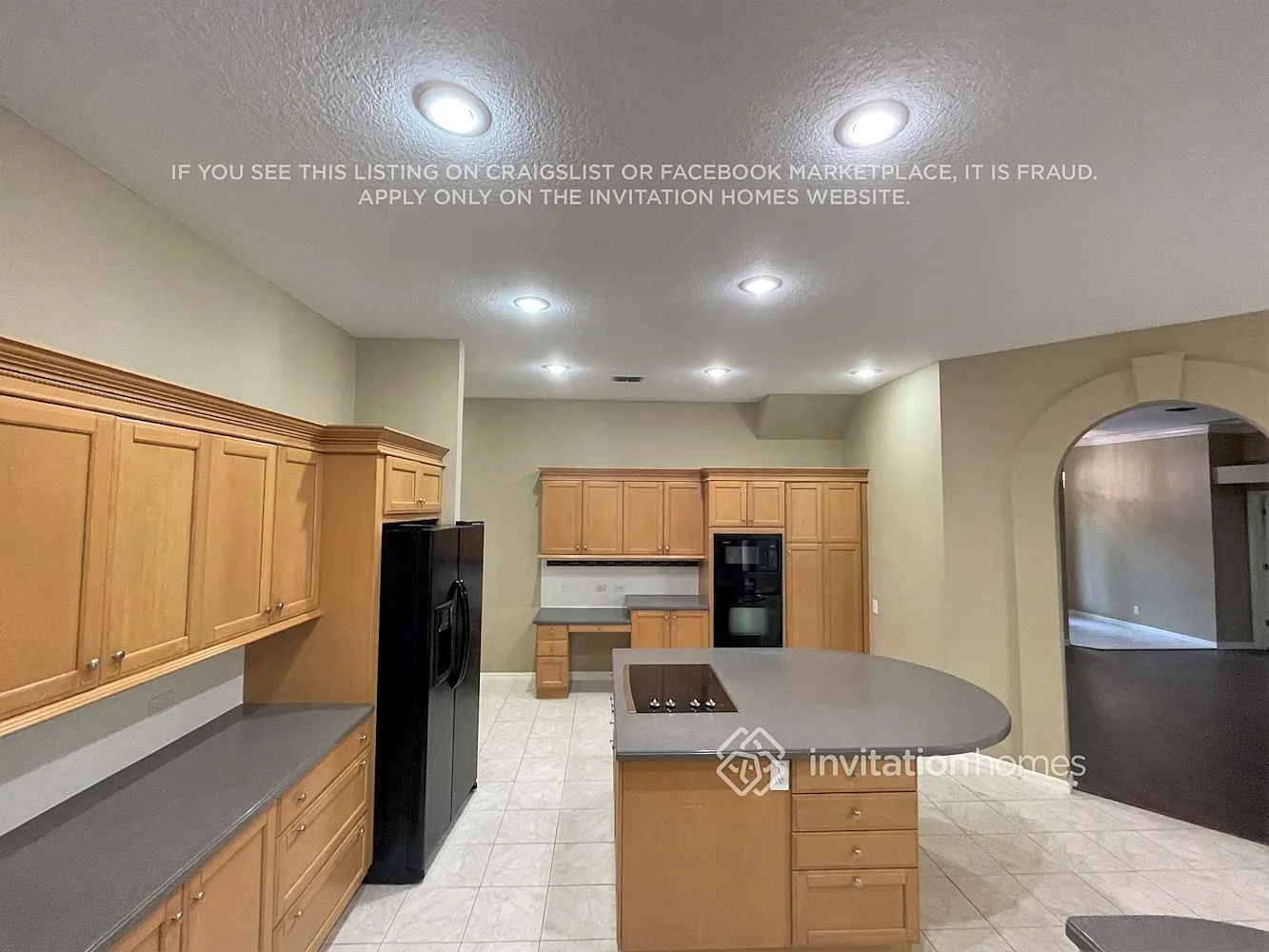4610 Kilcoyne Ct Lutz, FL 33558 — Photo 4