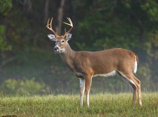 Kitchen Rd, Twining, MI 48766