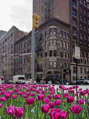 Rented by City Connections Realty | media 20