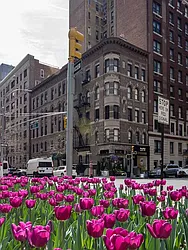 Rented by City Connections Realty