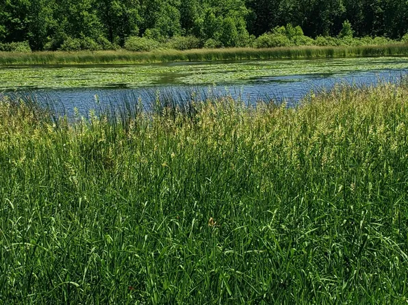 Silver Brook Dr, Cass Lake, MN 56633