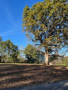 710 Iron Mountain Rd, Carbon Hill, AL, 35549