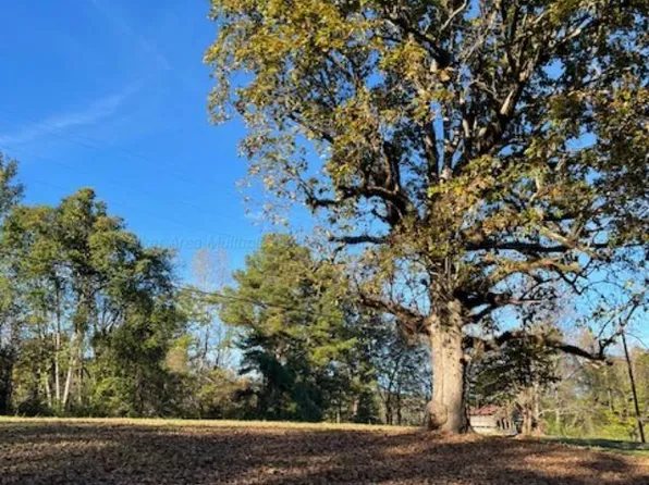 710 Iron Mountain Rd, Carbon Hill, AL 35549