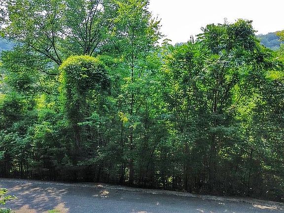 3rd image of 0 Williamson Cir Lot 51