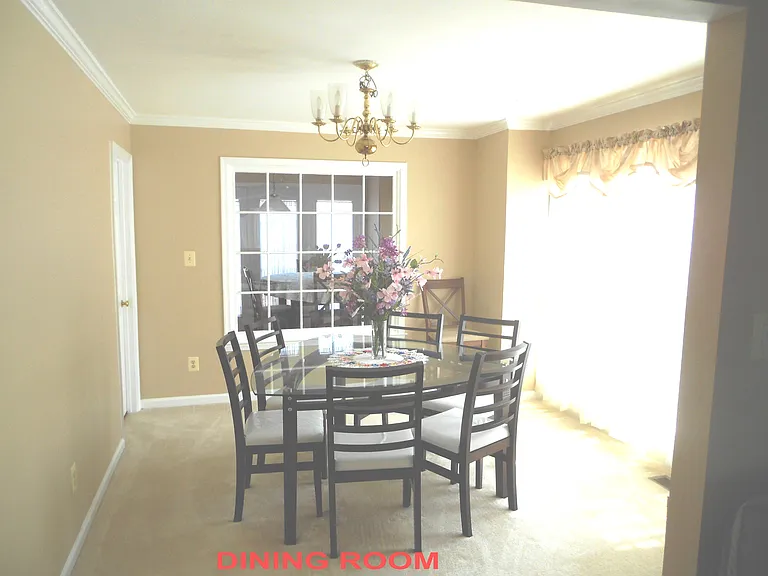 12020 Lisa Marie Ct — Photo 19