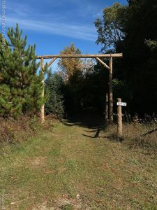 21372 Twenty Mile Rd, Tustin, MI, 49688