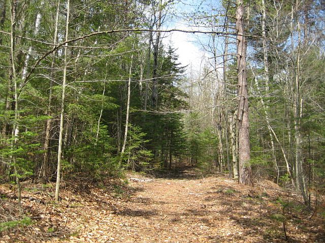 1st image of 00 Clifford Falls Ln