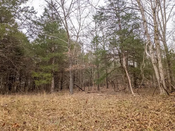 0 State Highway 142, Thayer, MO 65791