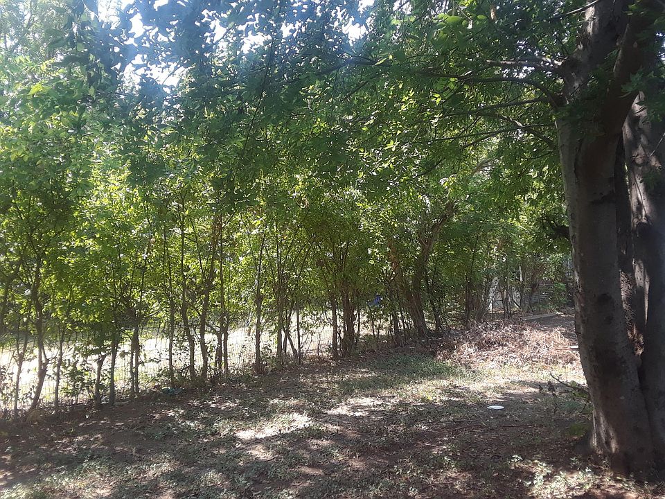 side yard