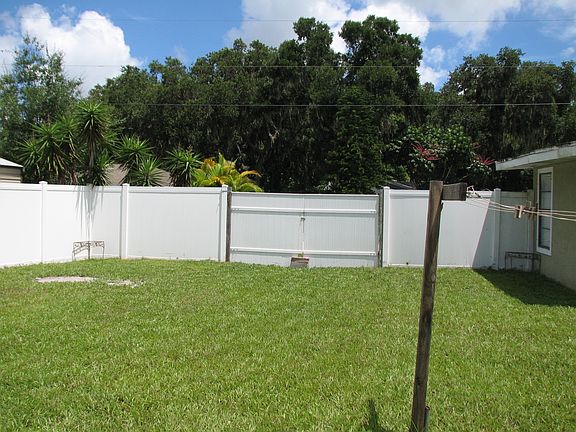 Back yard
