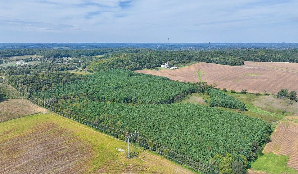 2nd image of 77 Acres County Road Y