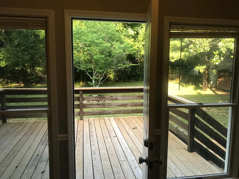 Looking out the backdoor