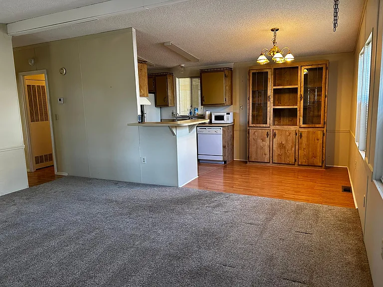 Living room, snack bar, dining room