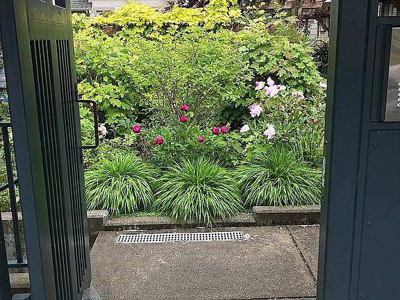 Entryway garden