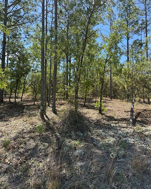 2nd image of LOT# 8 SW MINEOLA LANE LOT 8
