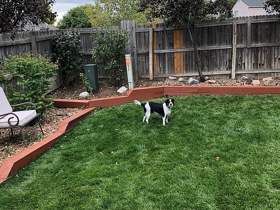 Beautiful green grass with s