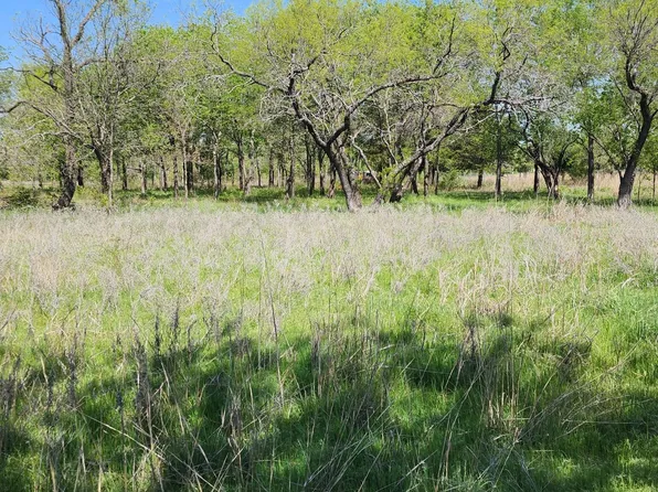 194 Brandon Ln, Chico, TX 76431